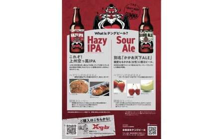 クラフトビール テングビール HAZY IPA 6本セット