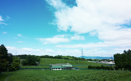 【父の日】BIWAワインセット [BIAC013] 栗東市 太田酒造株式会社 飲み比べ