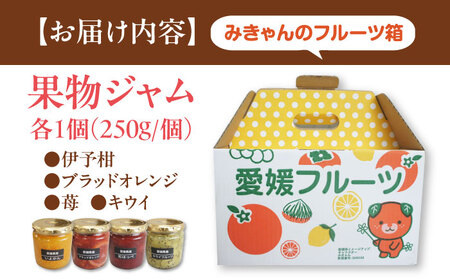 果物 ジャム 4個 みきゃん箱入(1箱) ジャム マーマレード[AGBN050]