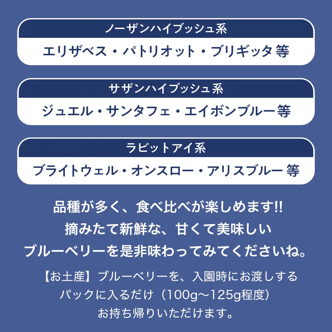 ブルーベリー狩り 体験チケット 《ファミリー４名様プラン お土産付き》 ブルーベリー ベリー 食べ比べ 食べ放題 収穫 収穫体験 体験 チケット 招待券 レジャー 観光 旅行 ファミリー ふれあい お土産 おみやげ 持ち帰り テイクアウト 多品種 果実 果物 くだもの フルーツ 自然体験 農業体験 茨城県 桜川市 [DZ010sa]