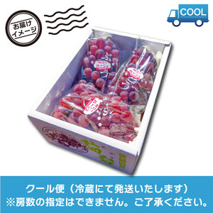 ぶどう サニールージュ 2kg ぶどう