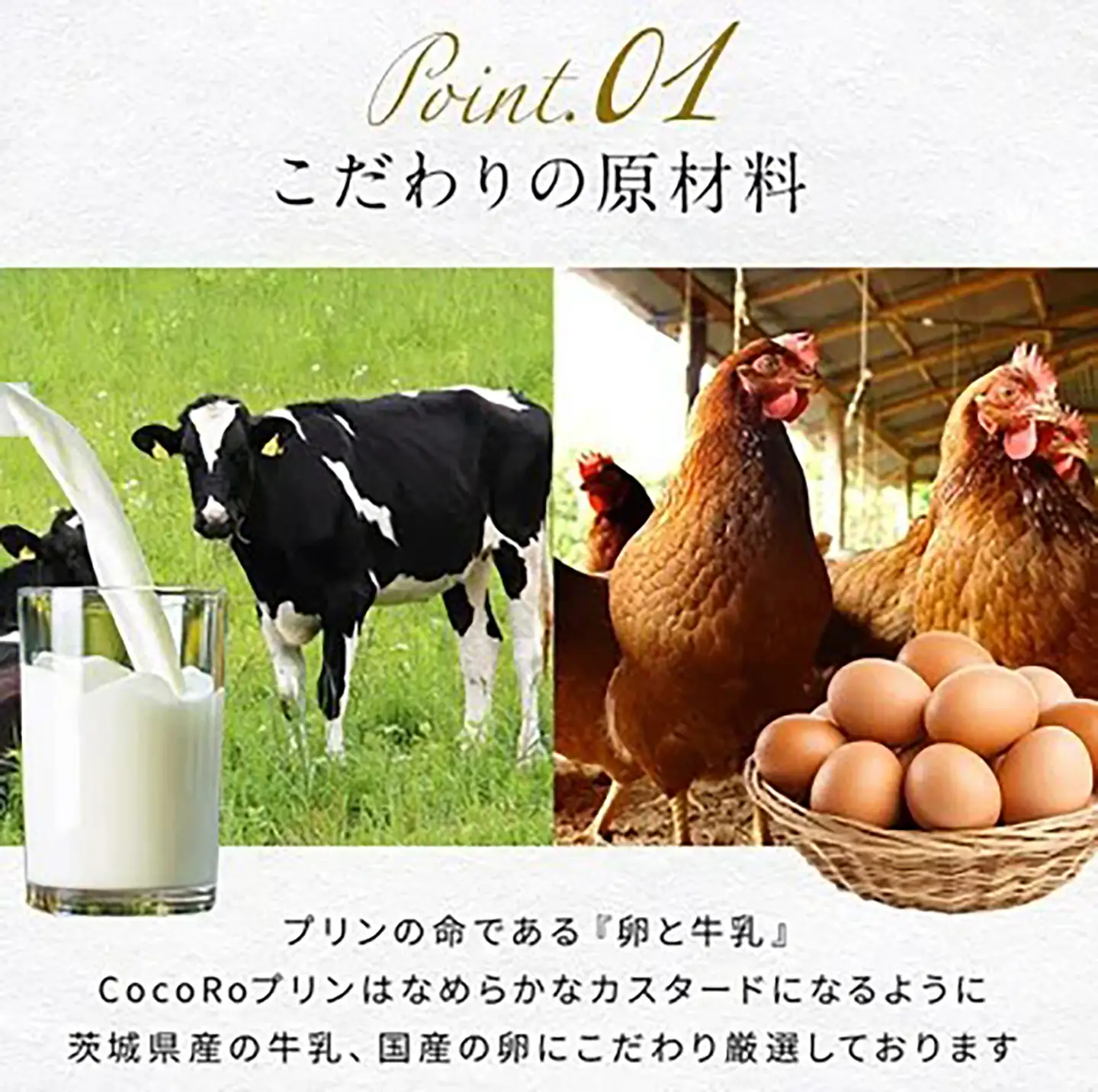プリン CocoRoプリン3個（ギフト包装＋メッセージシール「おつかれさま」）