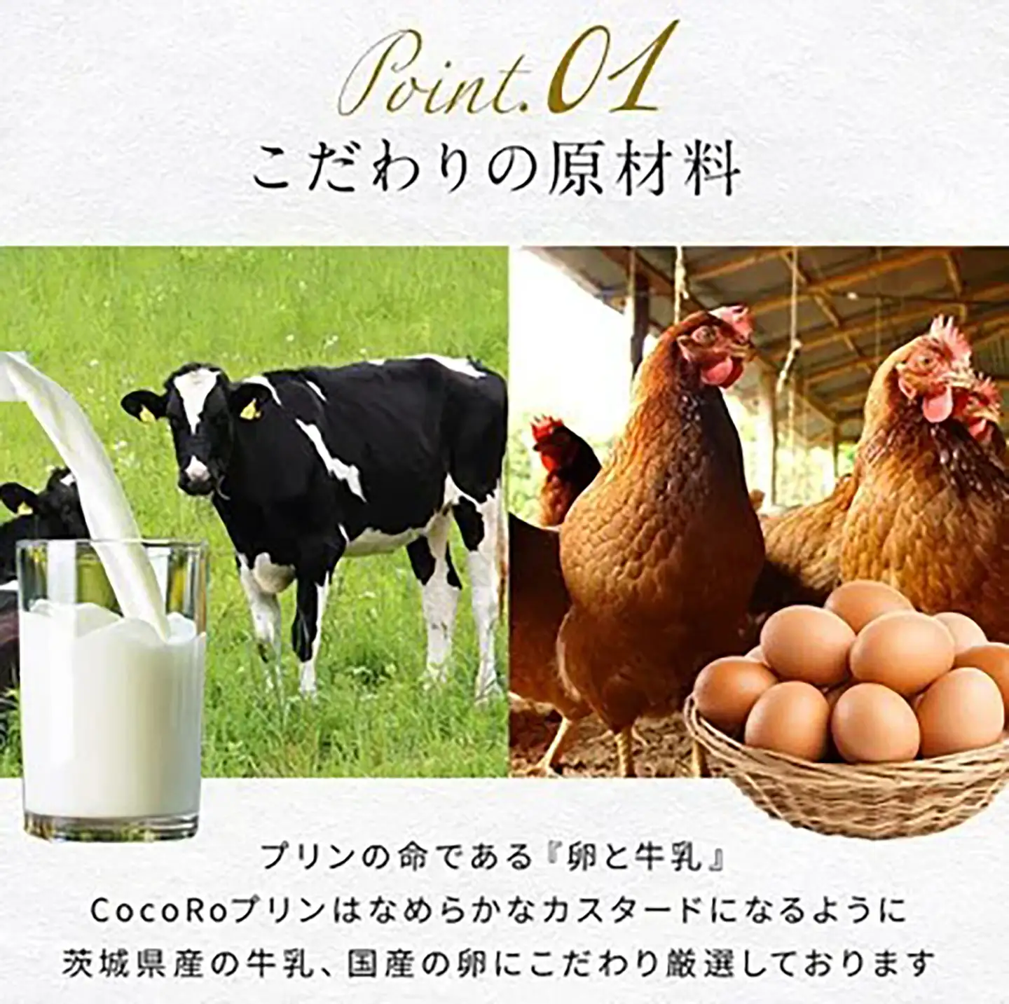 プリン CocoRoプリン6個（ギフト包装＋メッセージシール「ありがとう」）