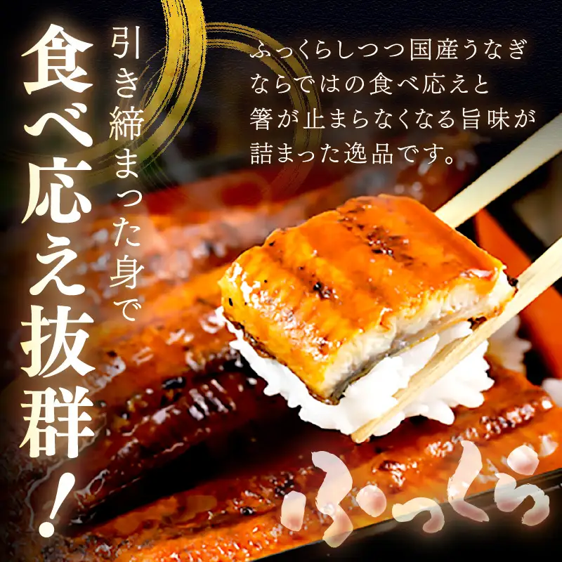 【国産鰻】うなぎ蒲焼き 1尾 250g前後 | うなぎ