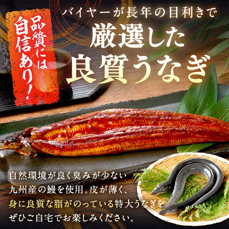 【国産鰻】うなぎ蒲焼き 2尾 合計500g前後 | うなぎ
