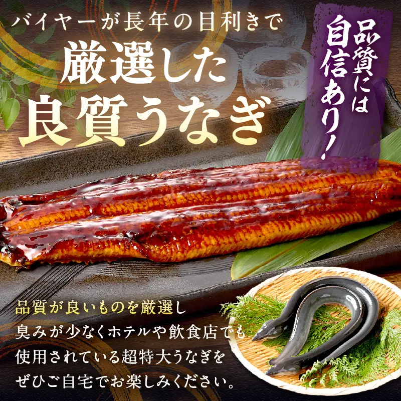 【鰻】うなぎ蒲焼き1尾 400g前後 | うなぎ