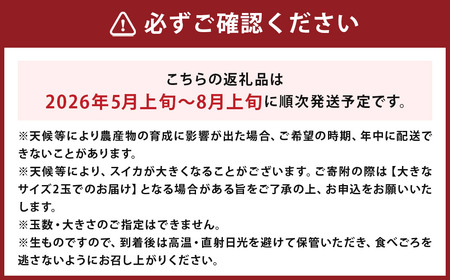 【先行予約】小玉スイカ ひとりじめ 約5～6kg（2玉）くだもの 果物 フルーツ すいか 西瓜【2025年5月上旬-8月上旬迄発送予定】