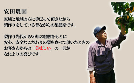 【先行予約】安田農園 梨 ”なつひめ” 3kg箱｜鳥取 岩美 梨 なし ナシ※お届けは2026年8月下旬以降【41028】