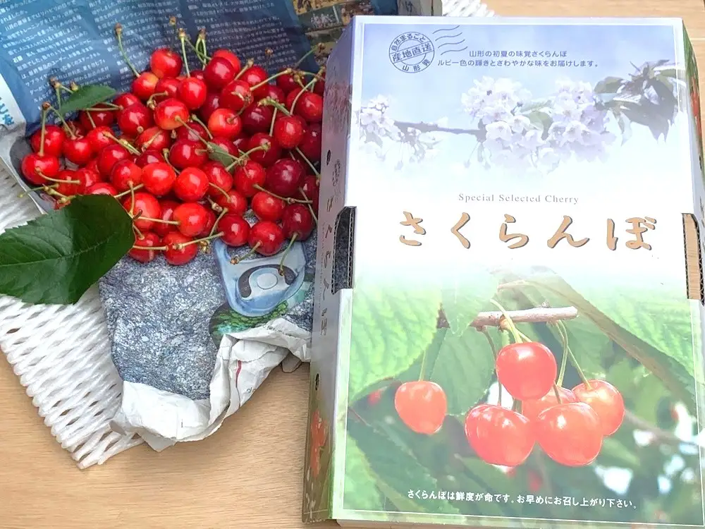 【定期便：全４回】果物たくさん『上山を楽しむ！ん～まい』定期便　0049-2601