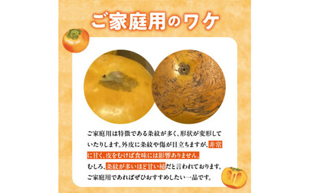 【訳あり品】【10月発送】池尻農園　太秋柿　9～14玉　約3kg　ご家庭用_訳あり品 太秋柿 9～14玉 約3kg ご家庭用 柿 甘柿 フルーツ 果物 スイーツ 甘い 条紋 10月最盛期 完全甘柿 早生品種 大玉 甘みが強い シャキシャキ 種が少ない 子供でも 食べやすい 福岡県 久留米市 送料無料 〔Fk016〕
