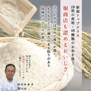 新潟産コシヒカリ 10kg 米 精米 白米 こめ コメ お米 おこめ コシヒカリ こしひかり 新潟 新潟県 米どころ
