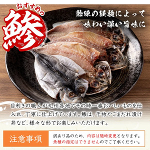 訳あり 干物 バラエティセット (8種：隔月3回) 定期便 簡単 調理 干物 あじ かます さば きびなご あつめし ぶり ぶりかま フライ 開き 魚 海鮮 冷凍 詰め合わせ 大分県 佐伯市 やまろ渡邉【DL30】【鶴見食賓館】