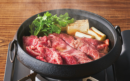 山形牛 切り落とし 750g  部位お任せ 形不揃い 牛肉 高橋畜産 ※沖縄・離島への配送不可 tc-gnxox750