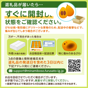 【先行受付 2026年5月中旬～6月下旬発送予定】房州びわ 2Lサイズ以上 12個（化粧箱入） mi0114-0001