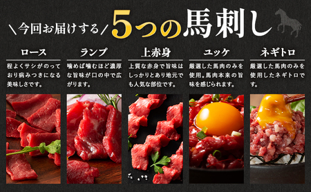 フジチクオリジナル ふじ馬刺し 藤彩牛 の 贅沢食べ比べセット 計 890g 道の駅竜北  熊本県 氷川町 肉 牛肉 馬肉 馬刺し 国産 赤身 上赤身 ロース ランプ 馬 セット 食べ比べ バラ カルビ 焼肉 ローススライス 黒毛和牛