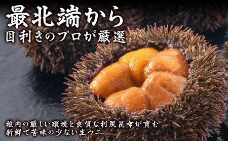 【先行予約】【厳選PREMIUM】美味しいウニは昆布の名産地にあり!生むらさきうに360g