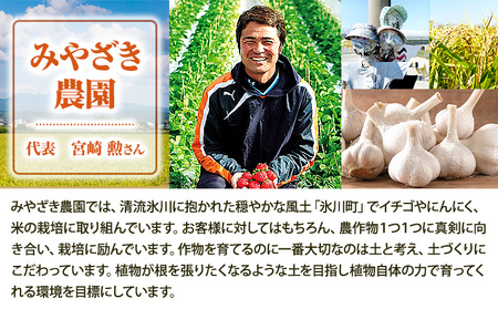 冷凍いちご 約1kg みやざき農園 熊本県 氷川町 いちご イチゴ ひのしずく 国産 冷凍いちご フルーツ ストロベリー 冷凍 お菓子作り 送料無料