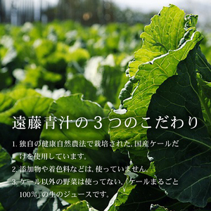【冷凍】【生】遠藤青汁2箱 国産ケール100% AO039