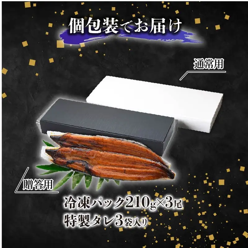 【通常用】【2回定期便】特大 極上国産うなぎ四万十桜　蒲焼き約210g×3尾  ＼ 完全無投薬 蒲焼き ／
