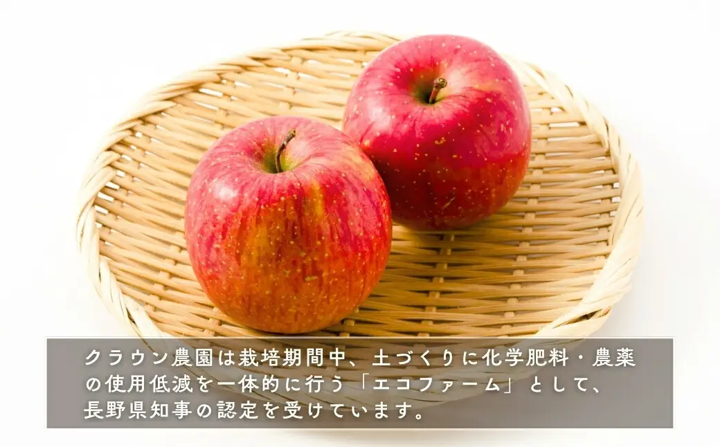 【2026年先行予約】りんご 園主におまかせ 詰合せ 計約2kg（5~8玉）りんごの宝石箱 | 長野県 千曲市