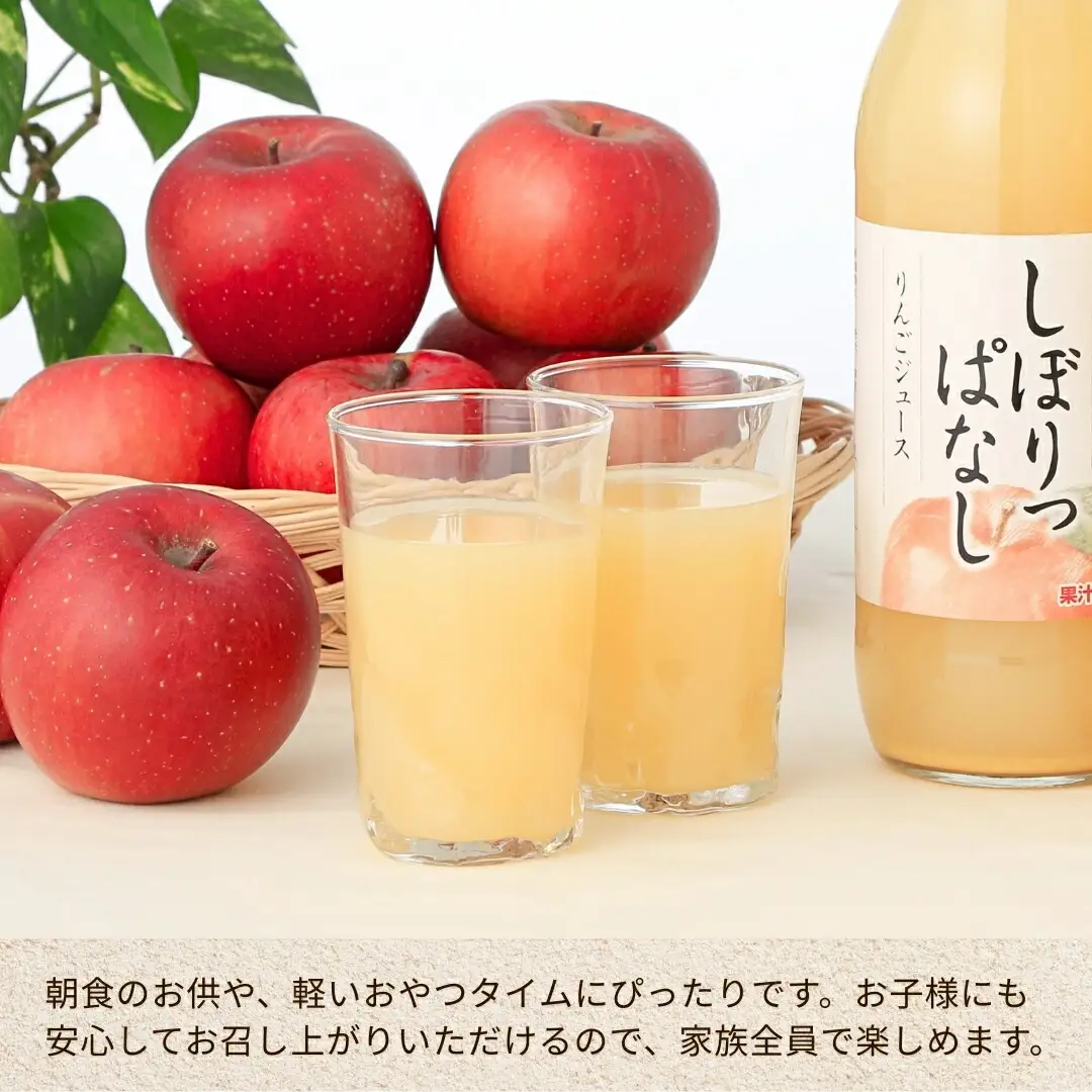 【定期便12ヶ月】信州産 りんごジュース 「しぼりっぱなし」 ストレート果汁100％ (1L×6本)|りんごジュース