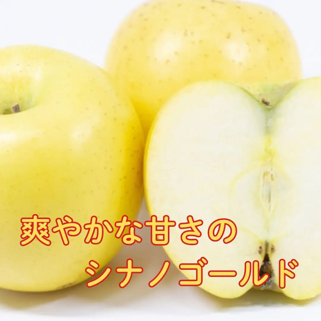 【2026年先行予約】サンふじ+シナノゴールド 約3kg| りんご りんご