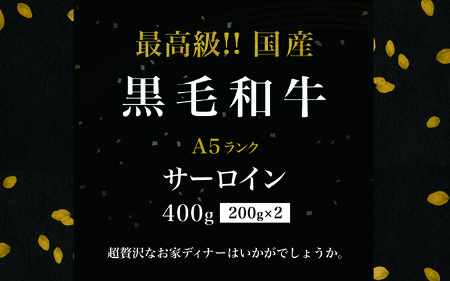 黒毛和牛 サーロインステーキ 400g（200g×2袋） / 黒毛和牛