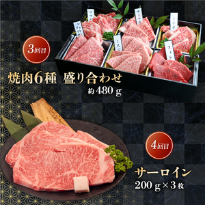 近江牛 食べ比べ 定期便 6ヶ月 近江牛近江牛近江牛近江牛近江牛