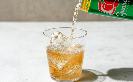ガラナ アンタルチカ 350ml×24本 炭酸飲料 ガラナ