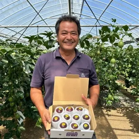 【2026年5月から順次発送】国頭村産パッションフルーツ1kg(10～12玉)【1616926】