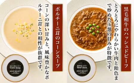 【全6回定期便】SoupSelect 2点セット 糸島市 / 糸島正キ スープ レトルト [AQA072]
