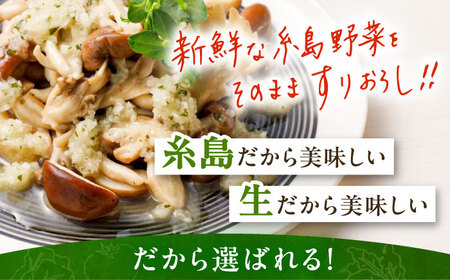 【全6回定期便/2ヶ月に1回】糸島野菜を食べる生ドレッシング おまかせ3本セット 糸島市 / 糸島正キ [AQA093]