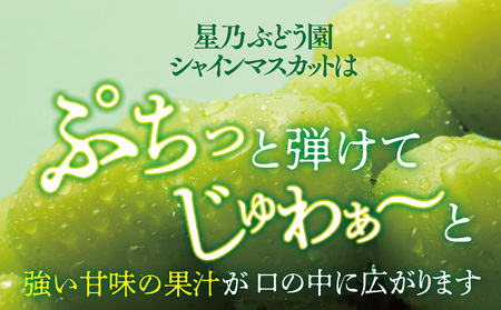 【発送月固定定期便】【人気セット】星乃フルーツ 桃+シャインマスカット全2回【配送不可地域：離島・北海道・沖縄県】【4067234】