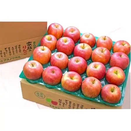 【27年4月より順次発送】平均糖度13度以上! シナノスイート 約5kg おもてなし用  クール便_果物・フルーツ りんご  リンゴ 林檎_【配送不可地域：離島・沖縄県】【1611326】
