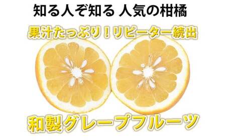 訳あり 河内晩柑 8kg 晩柑 ばんかん 柑橘類 果物 フルーツ 【2026年7月下旬迄発送予定】
