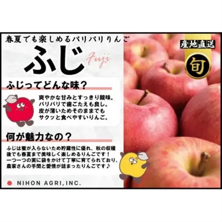 平均糖度13度以上! 有袋ふじ 約5kg おもてなし用 CA貯蔵 クール便_果物・フルーツ りんご  リンゴ 林檎_【配送不可地域：離島・沖縄県】【1613261】
