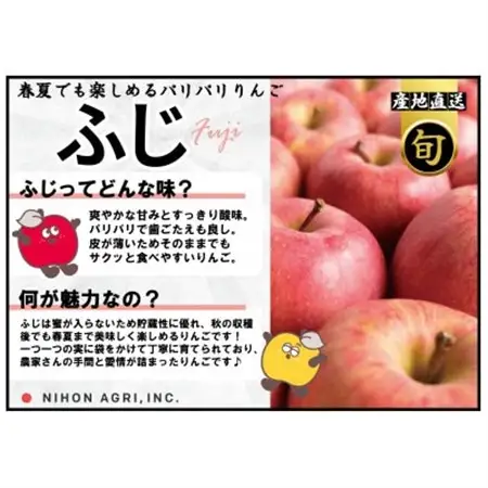 平均糖度13度以上! 有袋ふじ 約5kg 訳あり CA貯蔵 クール便_果物・フルーツ りんご  リンゴ 林檎_【配送不可地域：離島・沖縄県】【1613264】