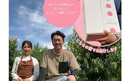 ＜先行受付＞ 嘉斎果樹園の桃「まどか」約3kg（8～11個） もも モモ 桃 デザート フルーツ 果物 くだもの 果実 食品 F7X-0140