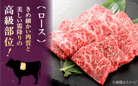 【全6回定期便】【数量限定 博多和牛】ロース 焼肉用 500g 桂川町/株式会社チクゼンヤ [ADBZ047] 焼肉 焼肉用 牛肉 国産 定期便