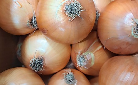 【先行予約！】【野菜ソムリエサミット金賞】淡路島玉ねぎ10kg【仲田青果の淡路島いち玉ねぎ】◆配送６月中旬～翌年２月下旬