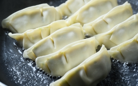 餃子20個入り×3箱（60個） | ふるさと納税 餃子 冷凍 ギョウザ 冷凍食品 惣菜 お取り寄せ グルメ 送料無料 宇都宮 栃木県
