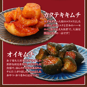 キムチ バラエティーセット (お試し キムチ セット 定番人気3種類)  白菜 カクテキ  150g