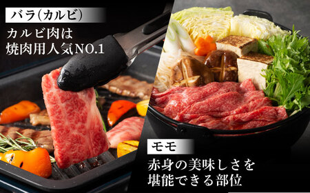 「熊本特産馬刺しとくまもと黒毛和牛」フジチクオリジナル贅沢食べ比べセット 3905[BHAD015]