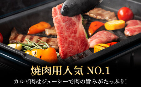 カルビ 全3回定期くまもと黒毛和牛藤彩牛 バラ( カルビ )とロース 3899  BHAD033