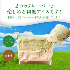 たたみアイス 12個入 いぐさ 畳 スイーツ いぐさミルク味 玄米味 食用いぐさ 和風アイス デザート おやつ ジャージー牛乳使用