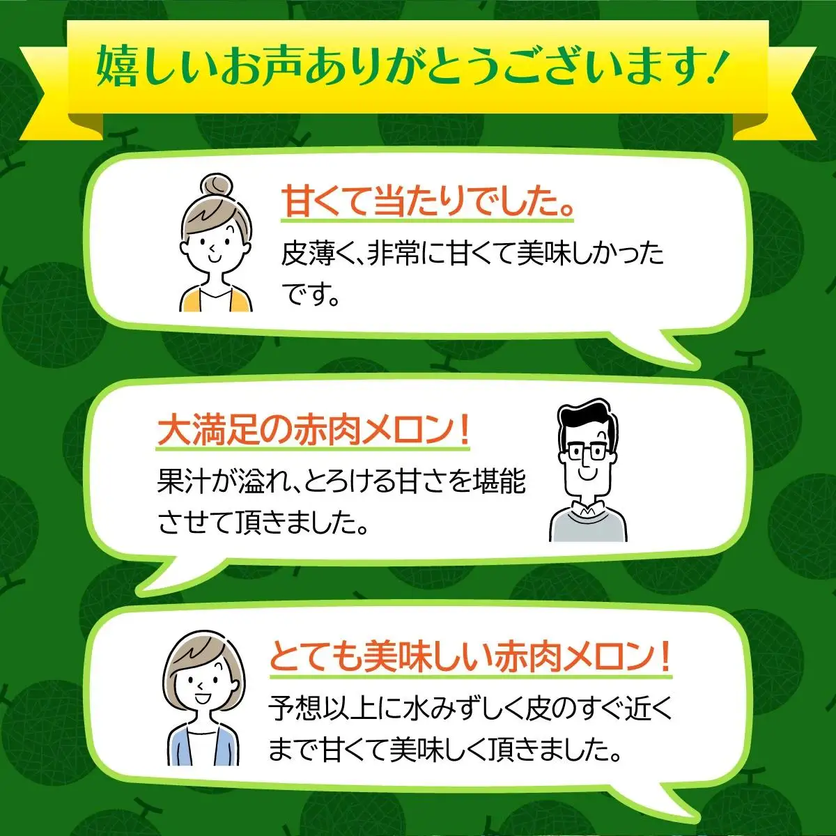 北海道産 赤肉メロン 2玉 約4kg