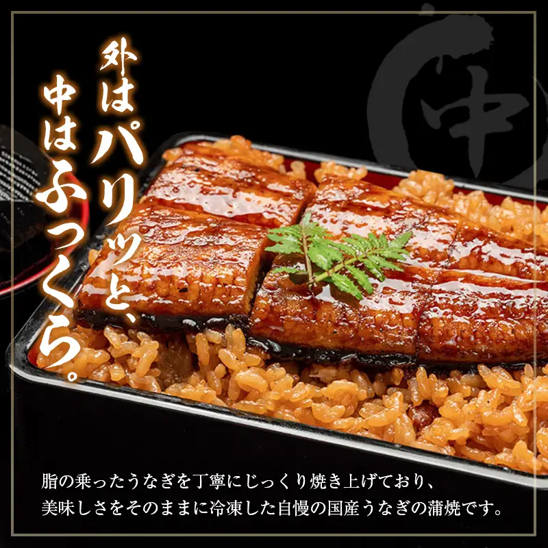 【土用の丑の日】うなぎ蒲焼3尾セット 計543g以上 中村商店