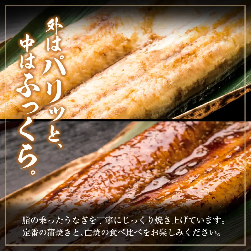 【土用の丑の日】うなぎ白焼・蒲焼セット 合計362g以上 肝焼き付 中村商店