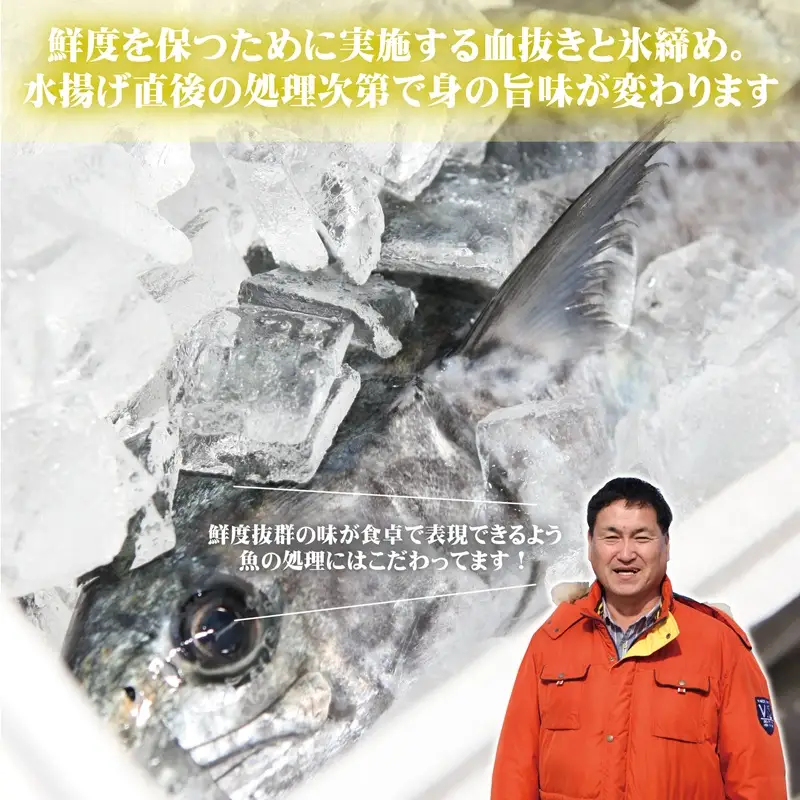 さわら 片身 1kg