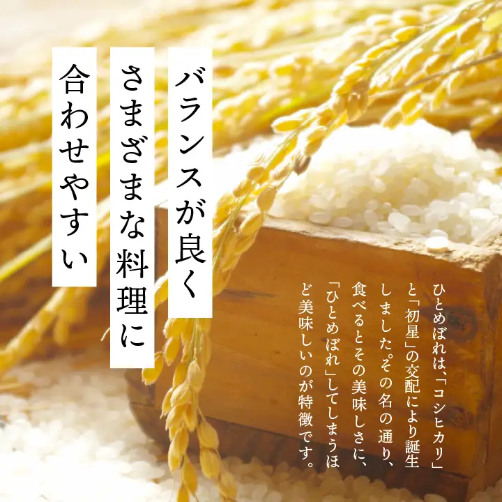 米 令和7年産 ひとめぼれ10kg【株式会社あだたら米】